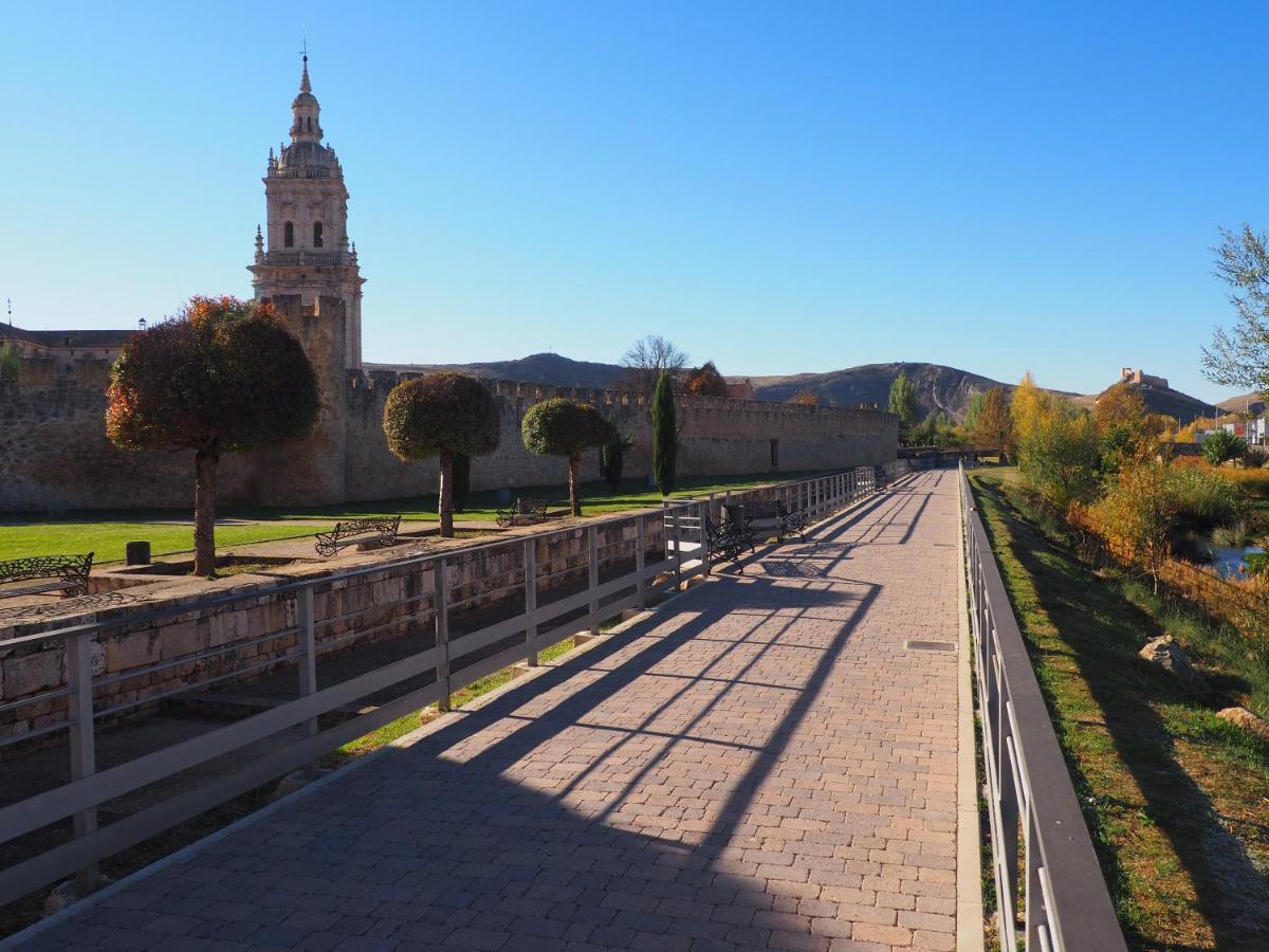 La Casona Del Zoilo -Los Arenales- El Burgo De Osma Buitenkant foto